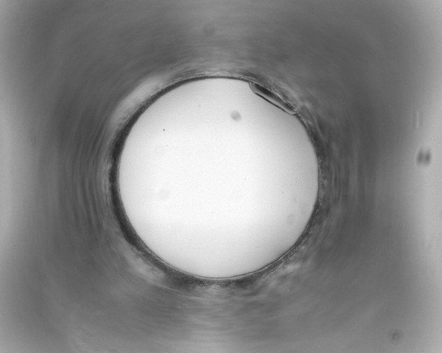 X0000090410197200708101927