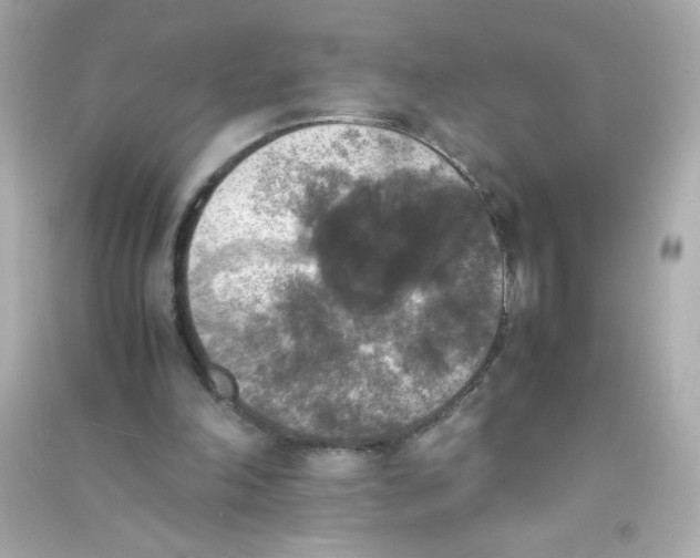 X0000090410198200708101927