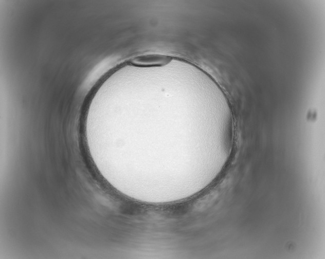 X0000090410199200708101927