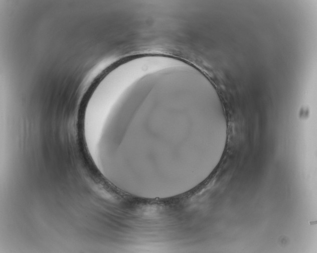 X0000090410200200708101927