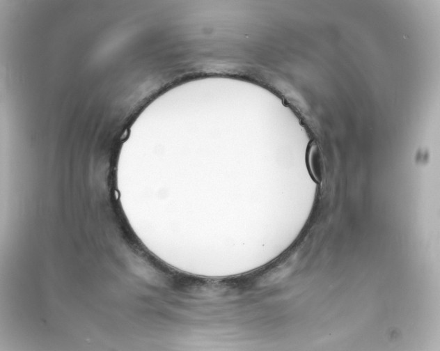 X0000090410201200708101927