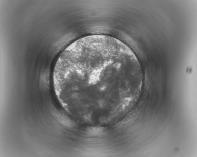 X0000090410202200708101927