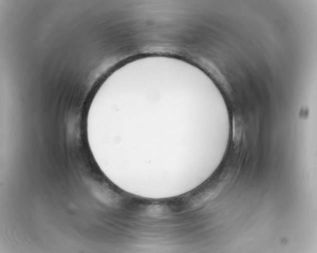 X0000090410204200708101927