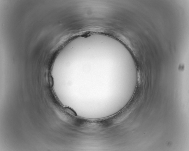 X0000090410205200708101927