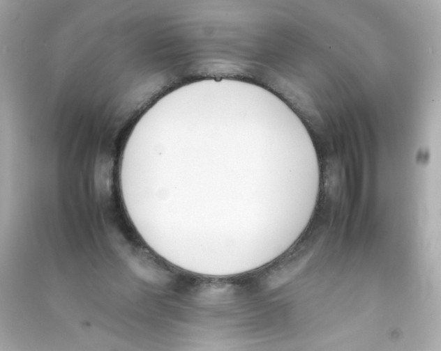 X0000090410206200708101927