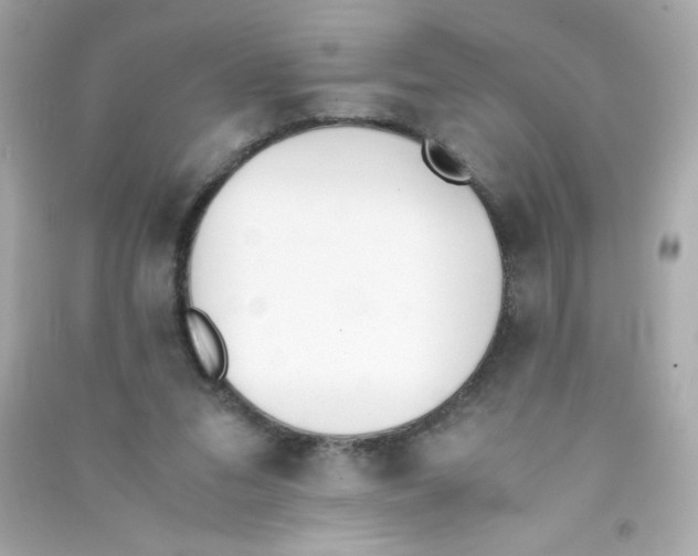 X0000090410207200708101927