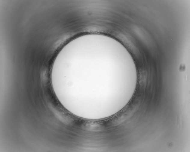 X0000090410208200708101927