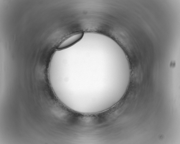 X0000090410209200708101927