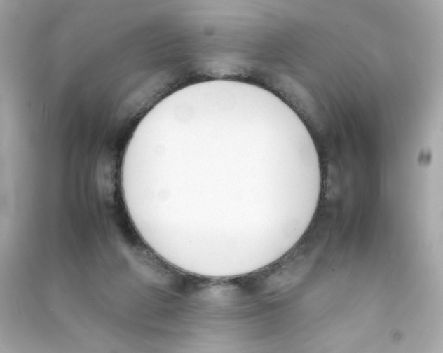 X0000090410210200708101927