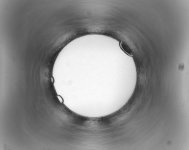 X0000090410211200708101927