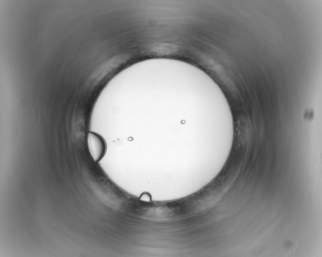 X0000090410212200708101927