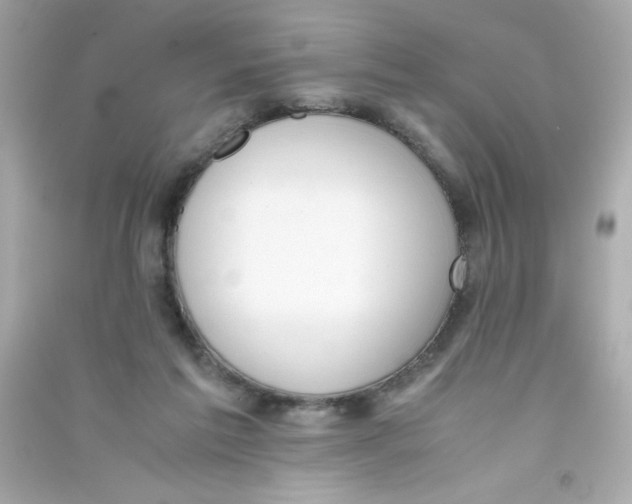 X0000090410213200708101927