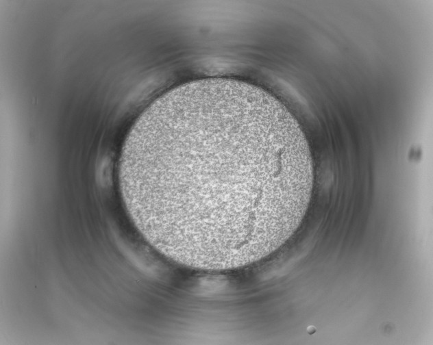 X0000090410214200708101927