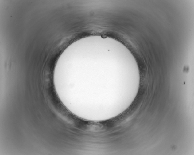 X0000090410215200708101927