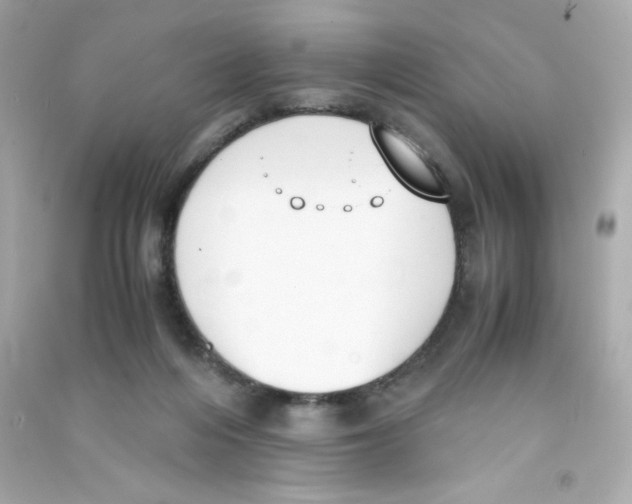 X0000090410216200708101927