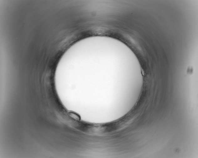 X0000090410217200708101927