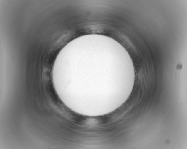 X0000090410218200708101927