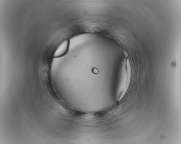 X0000090410219200708101927