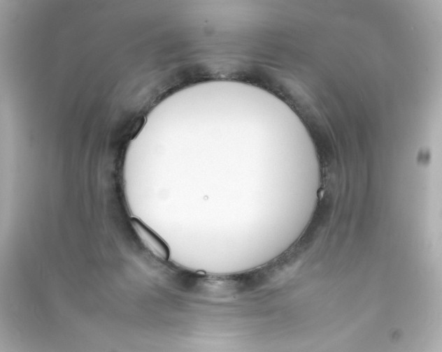 X0000090410221200708101927