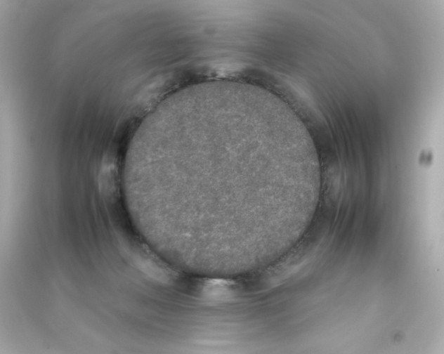 X0000090410222200708101927