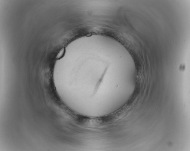 X0000090410223200708101927