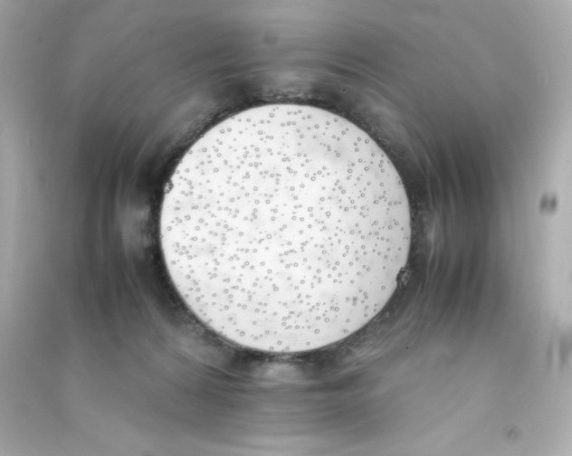 X0000090410224200708101927