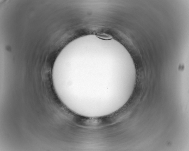 X0000090410225200708101927