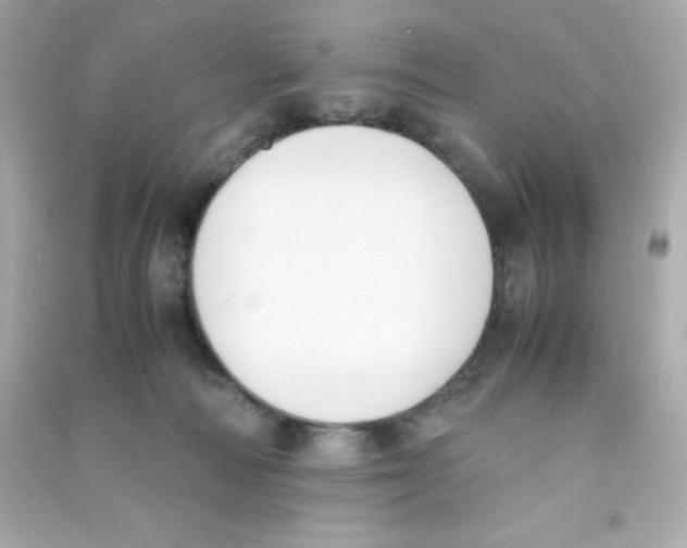 X0000090410226200708101927