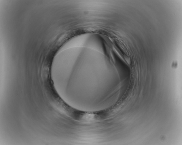 X0000090410227200708101927