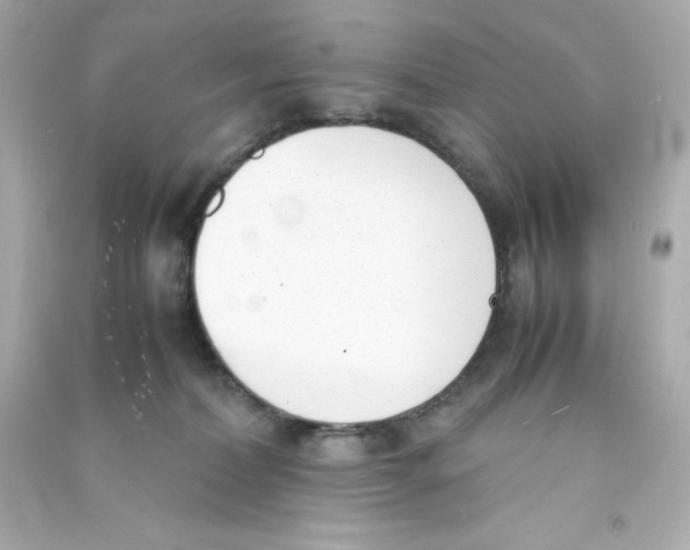 X0000090410228200708101927