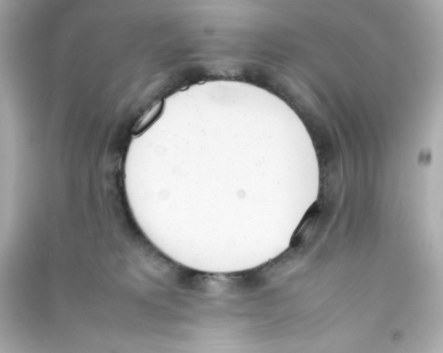 X0000090410229200708101927