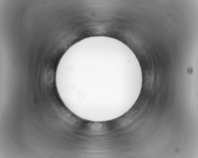 X0000090410230200708101926