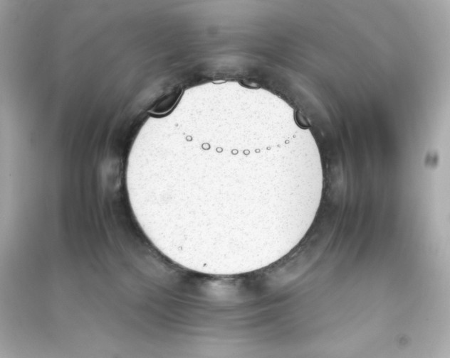 X0000090410232200708101926