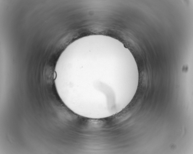 X0000090410234200708101926