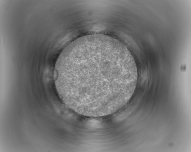 X0000090410236200708101926