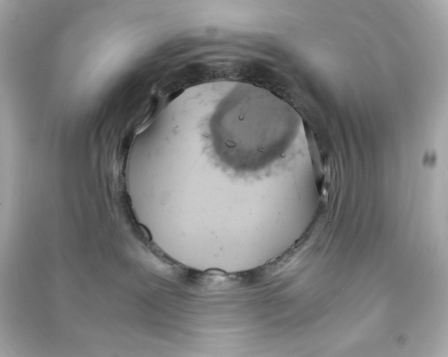 X0000090410239200708101926