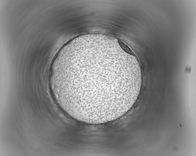 X0000090410241200708101926