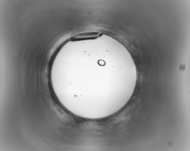 X0000090410244200708101926