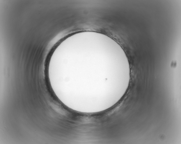 X0000090410246200708101926