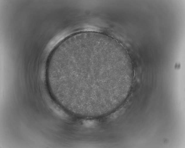 X0000090410247200708101926