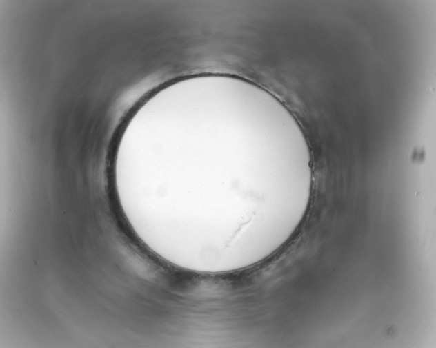 X0000090410248200708101926