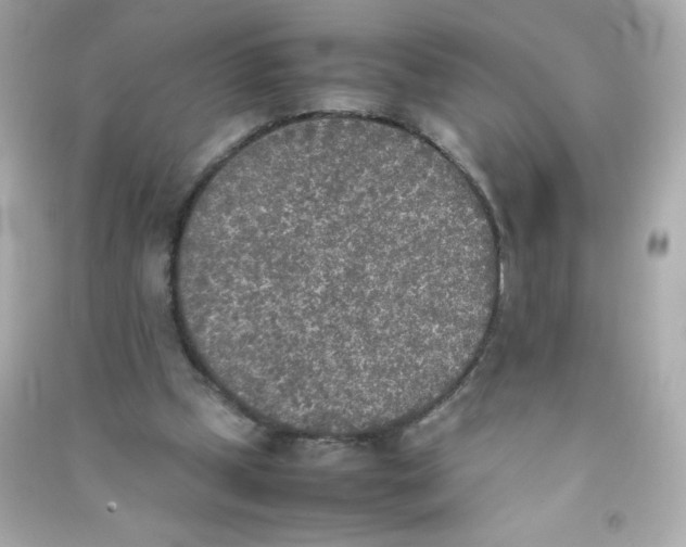 X0000090410249200708101926