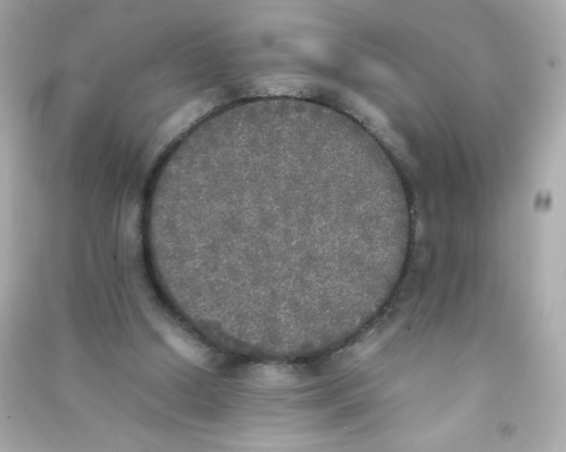 X0000090410250200708101926