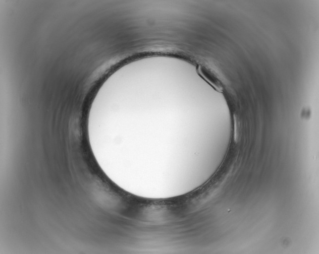 X0000090410252200708101926