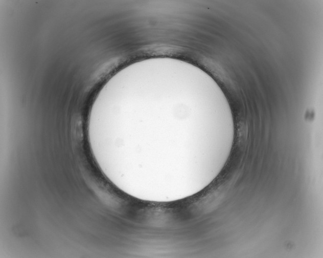 X0000090410254200708101926