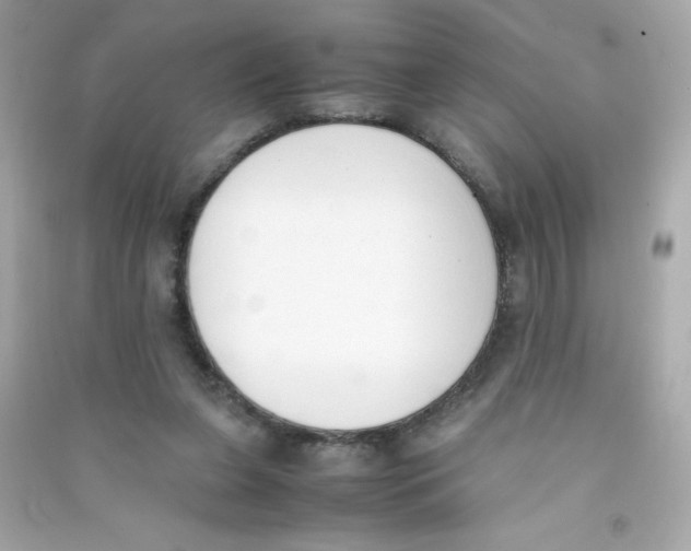 X0000090410255200708101926