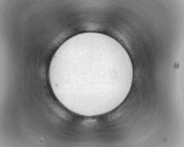 X0000090410257200708101926