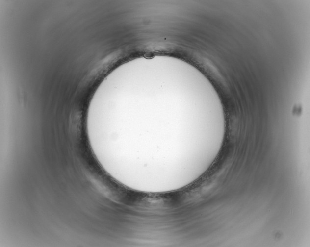 X0000090410260200708101926