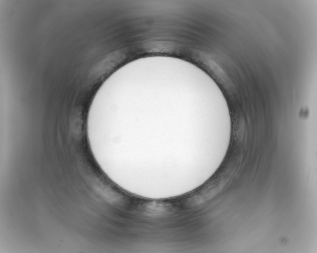 X0000090410261200708101926