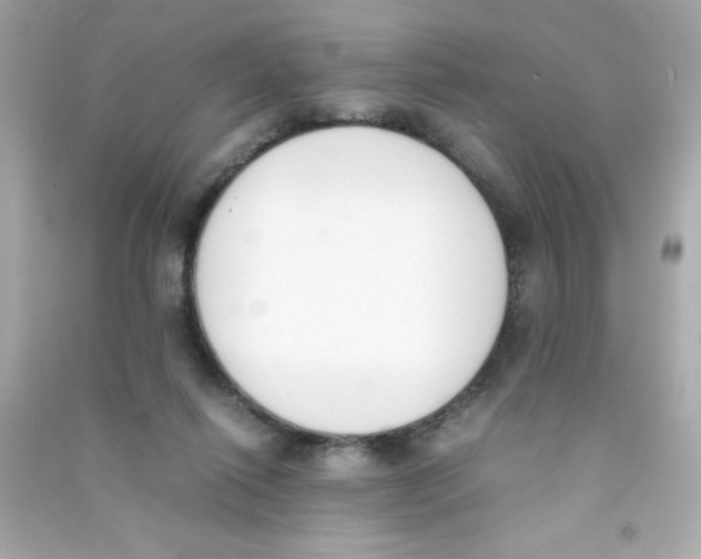 X0000090410262200708101926